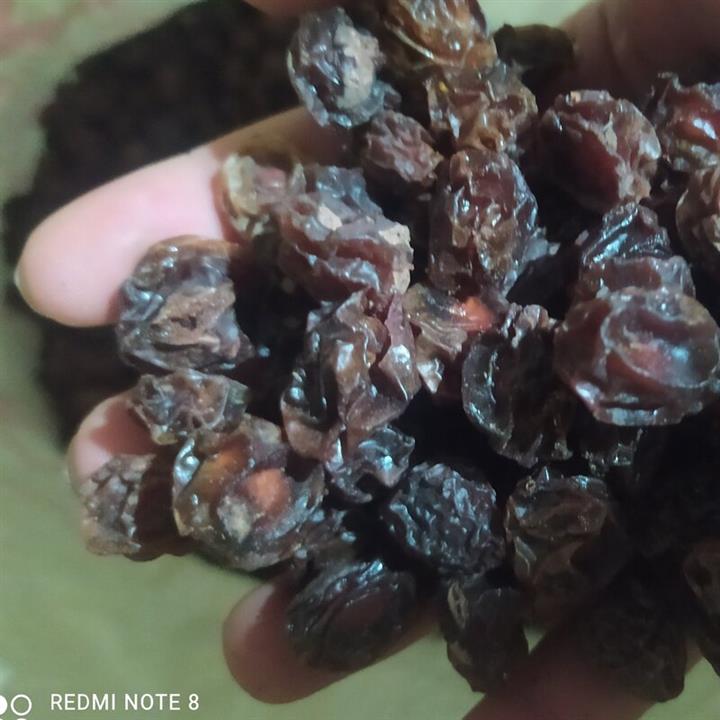 الوچه محلی  ارگانیک تازه  کردستان (سه کیلو) خوش طعم و خوش رنگ